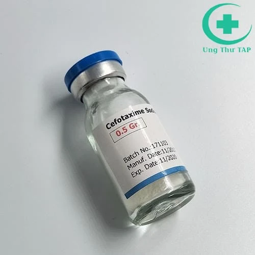 Cefotaxime 0,5g - Thuốc điều trị nhiễm khuẩn của Minh Dân