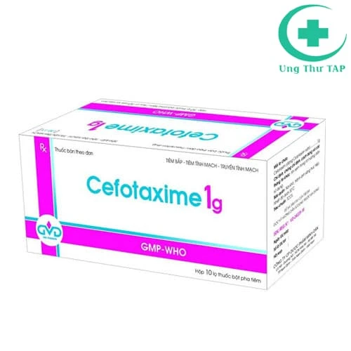 Cefotaxime 1g MD Pharco - Điều trị các bệnh nhiễm khuẩn