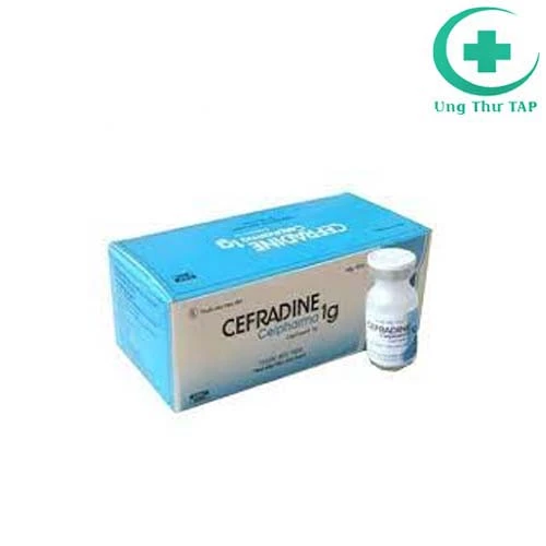 Cefradine 1g - Thuốc điều trị nhiễm khuẩn của Dược Minh Dân