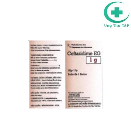 Ceftazidim EG 1g - Thuốc điều trị các vấn đề về nhiễm trùng