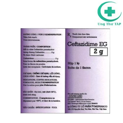 Ceftazidim EG 2g- Thuốc giúp ngăn chặn sự phát triển của vi khuẩn