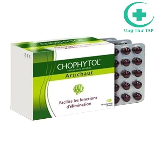 Chophytol 200mg - Thuốc điều trị rối loạn tiêu hóa và mát gan
