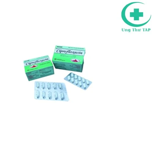 Ciprofloxacin 500 Khapharco-Thuốc điều trị nhiễm khuẩn hiệu quả
