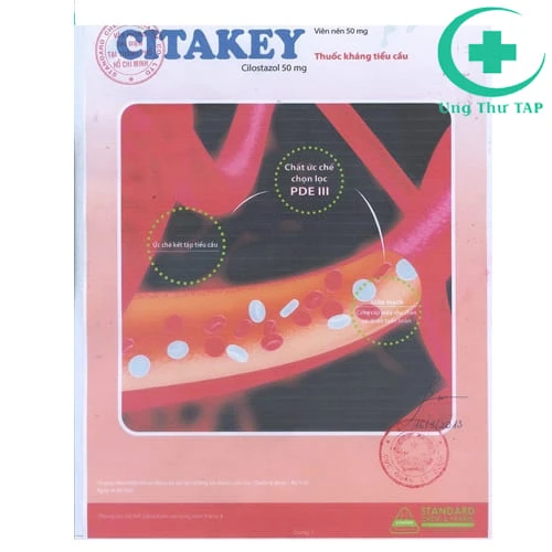 Citakey Tablets 50mg Standard - Thuốc điều trị thiếu máu cục bộ