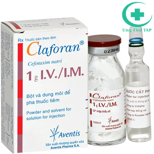 Claforan - Thuốc điều trị nhiễm khuẩn hiệu quả