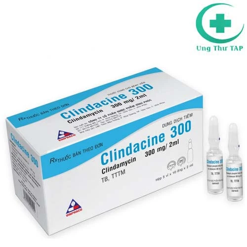 Clindacine 300 Vinphaco - Thuốc điều trị nhiễm trùng máu
