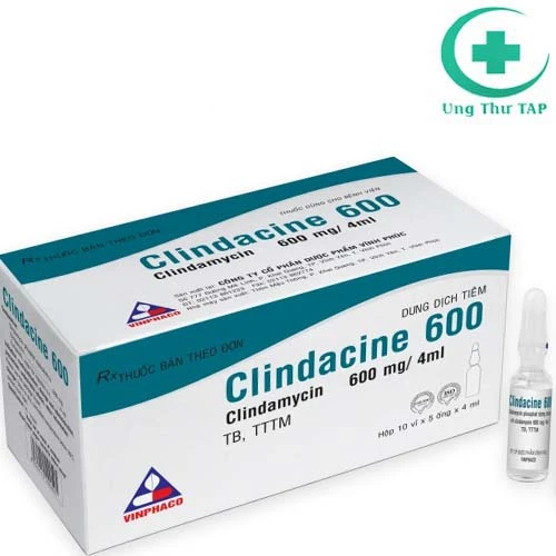 Clindacine 600 Vinphaco - Thuốc điều trị nhiễm khuẩn hô hấp