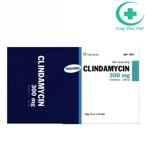 Clindamycin 300mg Phapharco - Thuốc điều trị nhiễm khuẩn