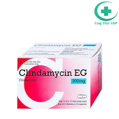 Clindamycin EG 300mg - Thuốc kháng viêm hầu họng, viêm tai giữa