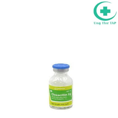 Cloxacillin 2g Imexpharm - Thuốc điều trị nhiễm khuẩn 