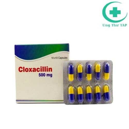 Cloxacilin 500mg -Thuốc trị nhiễm khuẩn hiệu quả