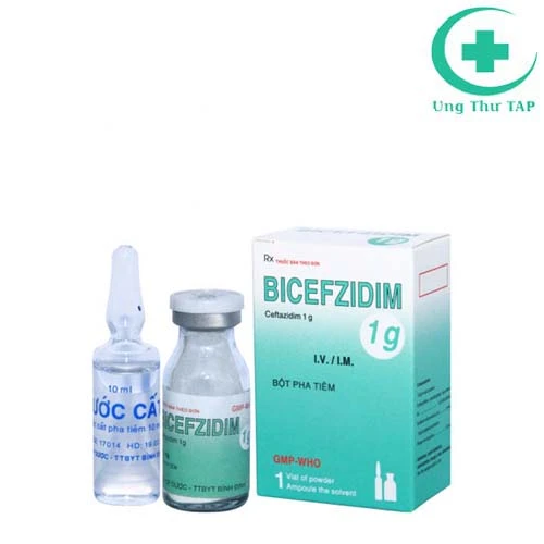 Bicefzidim 1g - Thuốc điều trị khuẩn huyết, viêm màng não