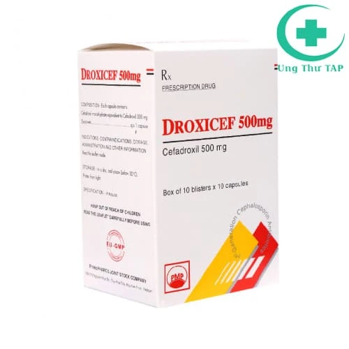 Droxicef 500mg - Thuốc điều trị nhiễm khuẩn hiệu quả