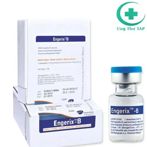 Engerix B Pediatric 10mcg Box 10 Vial - Phòng bệnh viêm gan B