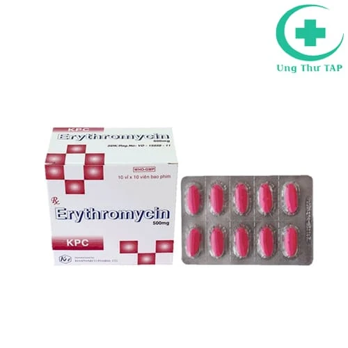 Erythromycin 500mg Khapharco - Thuốc điều trị nhiễm khuẩn đường hô hấp
