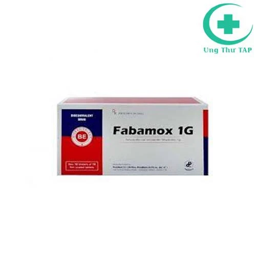 Fabamox 1g - Thuốc điều trị nhiễm khuẩn hiệu quả