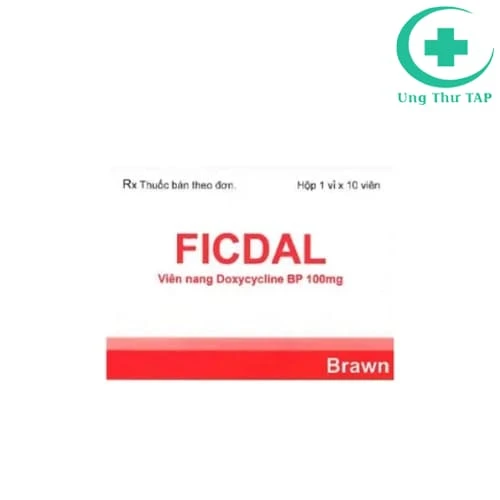 Ficdal 100mg Brawn - Thuốc điều trị các nhiễm khuẩn hiệu quả
