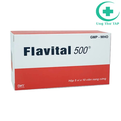 Flavital 500 - Thuốc điều trị bệnh huyết áp, suy giảm trí nhớ