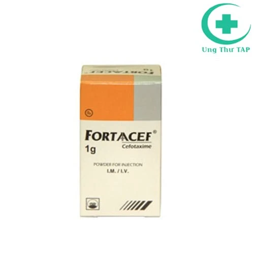 Fortaacef 1g - Thuốc điều trị nhiễm khuẩn của Pymepharco