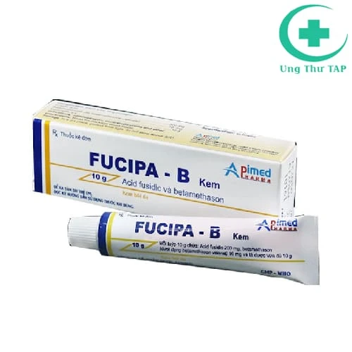 Fucipa - B - Thuốc điều trị các bệnh da do viêm, nhiễm khuẩn