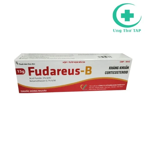 Fudareus-B - Thuốc điều trị bệnh về da do viêm, nhiễm khuẩn