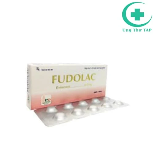 Fudolac 0,5mg Phương Đông - Thuốc điều trị viêm gan B