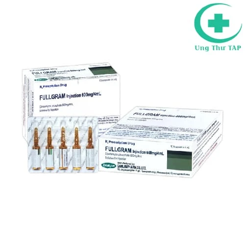 Fullgram Injection 600mg/4ml - Thuốc  điều trị nhiễm trùng nặng