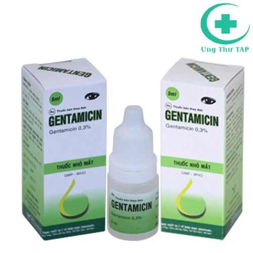 Gentamicin 0,3% Bidiphar - Thuốc điều trị viêm loét giác mạc