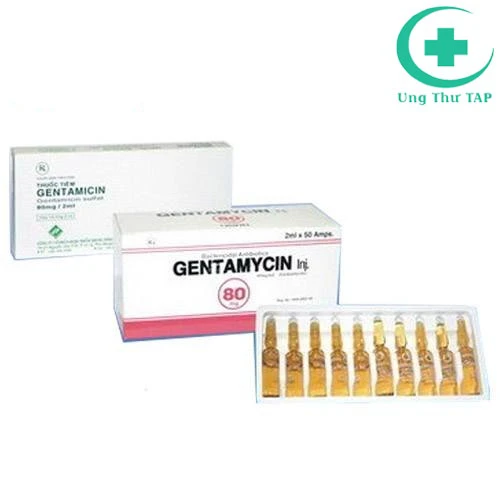 Gentamicin 80mg/2ml Vidipha - Thuốc điều trị nhiễm khuẩn nặng 