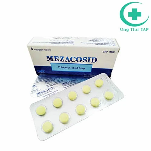 Mezacosid 4mg - Thuốc hỗ trợ điều trị các bệnh về xương