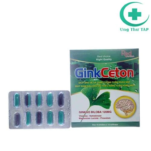 GinkCeton - Thuốc hỗ trợ điều trị hoa mắt, chóng mặt, đau đầu