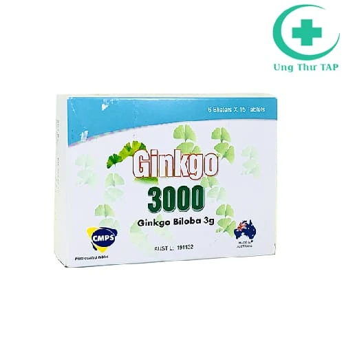 Ginkgo 3000 - Thuốc điều trị suy giảm tuần hoàn máu hiệu quả