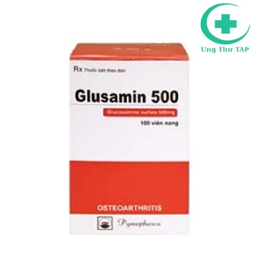 Glusamin 500 Pymepharco - Thuốc hỗ trợ thoái hóa khớp gối