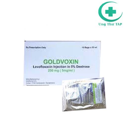 Goldvoxin - Thuốc điều trị nhiễm khuẩn đường tiết niệu