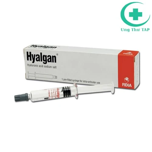 Hyalgan - Thuốc điều trị chấn thương khớp