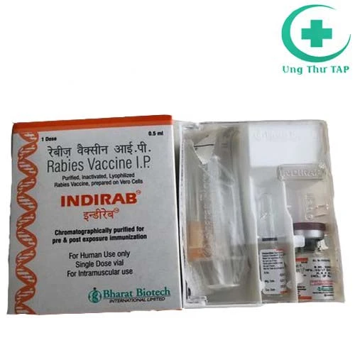 Indirab - Vaccine được dùng trong việc phòng ngừa bệnh dại