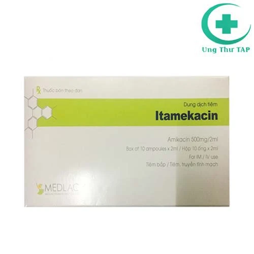 Itamekacin 1000 - Thuốc điều trị nhiễm khuẩn nặng hiệu quả