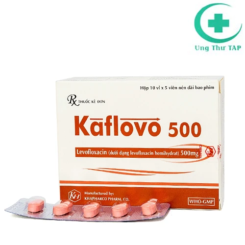 Kaflovo (viên nén dài bao phim) - Thuốc kháng khuẩn hiệu quả