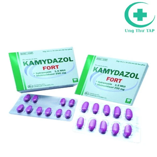 Kamydazol fort 250mg - Thuốc điều trị nhiễm khuẩn răng miệng