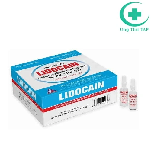 Lidocain - Vinphaco - Thuốc gây tê hiệu quả của Vinphaco