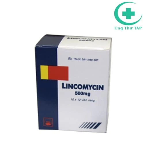 Lincomycin 500mg Pymepharco - Thuốc điều trị nhiễm khuẩn nặng