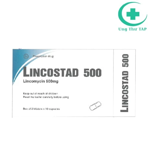 Lincostad 500 Pymepharco - Thuốc điều trị nhiễm trùng hiệu quả