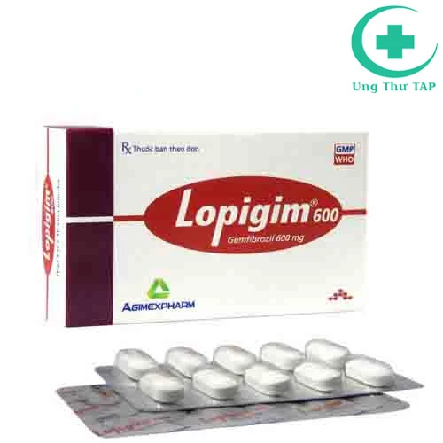 Lopigim 600 - Thuốc điều trị tăng và rối loạn lipit trong máu
