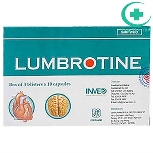 Lumbrotine- điều trị sơ vữa động mạch, tai biến mạch máu não