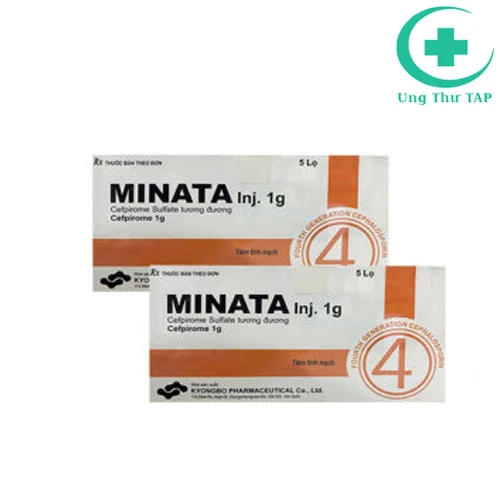 Minata Inj. 1g - Thuốc điều trị nhiễm khuẩn hô hấp và tiết niệu