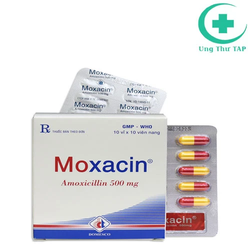 Moxacin - Thuốc điiều trị nhiễm khuẩn dạng viên nang của Domesco