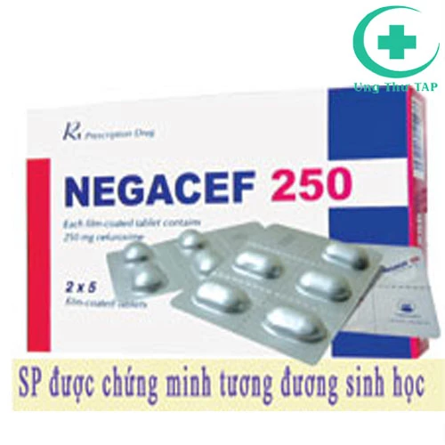 Negacef 250 - điều trị nhiễm khuẩn hiệu quả của Pymepharco