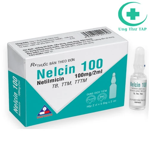 Nelcin 100 Vinphaco - Thuốc tiêm điều trị nhiễm khuẩn hiệu quả
