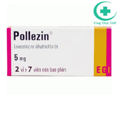 Pollezin - Thuốc điều trị viêm mũi dị ứng hiệu quả của Hungary