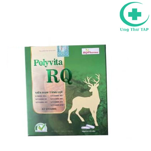 Polyvita RQ - Cung cấp Lysine và vitamin nhóm B cho cơ thể